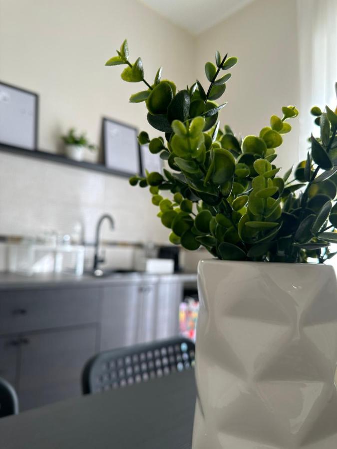 Diverso Apartment Caiazzo ภายนอก รูปภาพ
